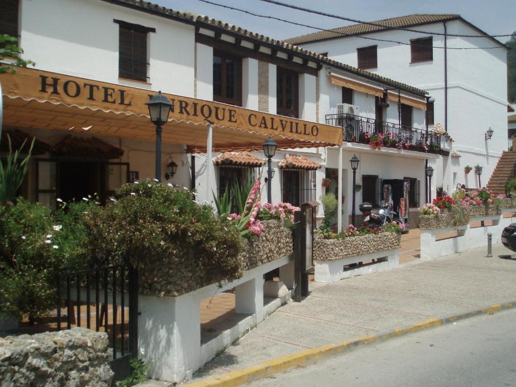 Отель Hotel Enrique Calvillo, Эстепона
