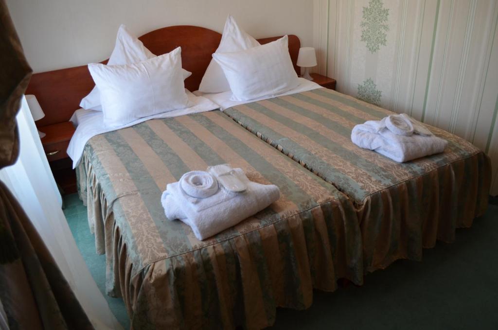 Двухместный (Улучшенный двухместный номер с 2 отдельными кроватями) отеля Hotel Rusu, Петрошани