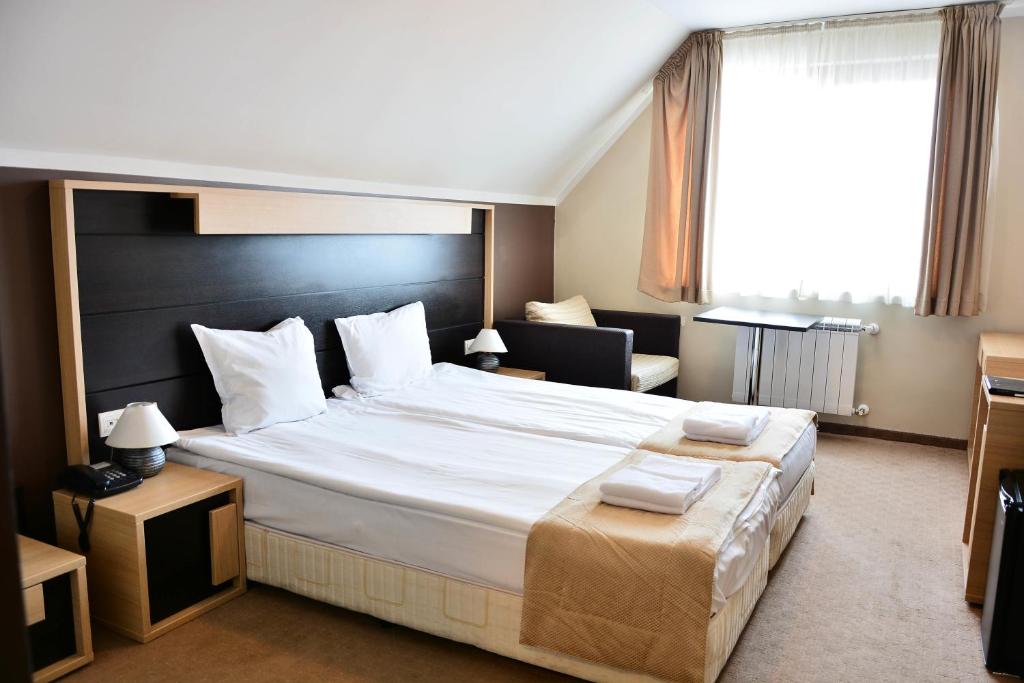 Двухместный (Двухместный номер Делюкс с 1 кроватью) отеля Olymp Hotel, Банско