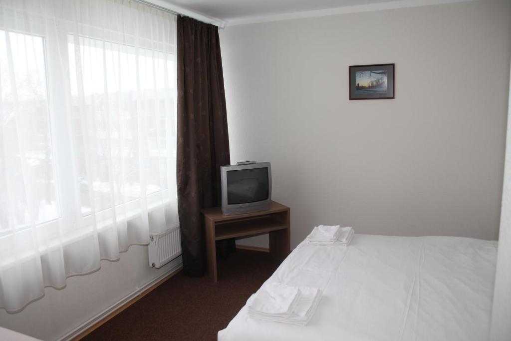 Двухместный (Двухместный номер с 1 кроватью), Hotel Dobele