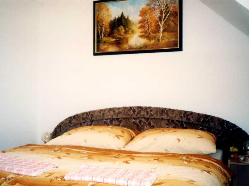 Двухместный (Двухместный номер с 1 кроватью или 2 отдельными кроватями) гостевого дома Penzion Macocha, Бланско