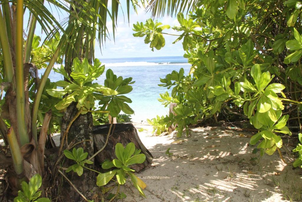 Вилла (Вилла с 4 спальнями рядом с пляжем), Beach House at Anse Forbans