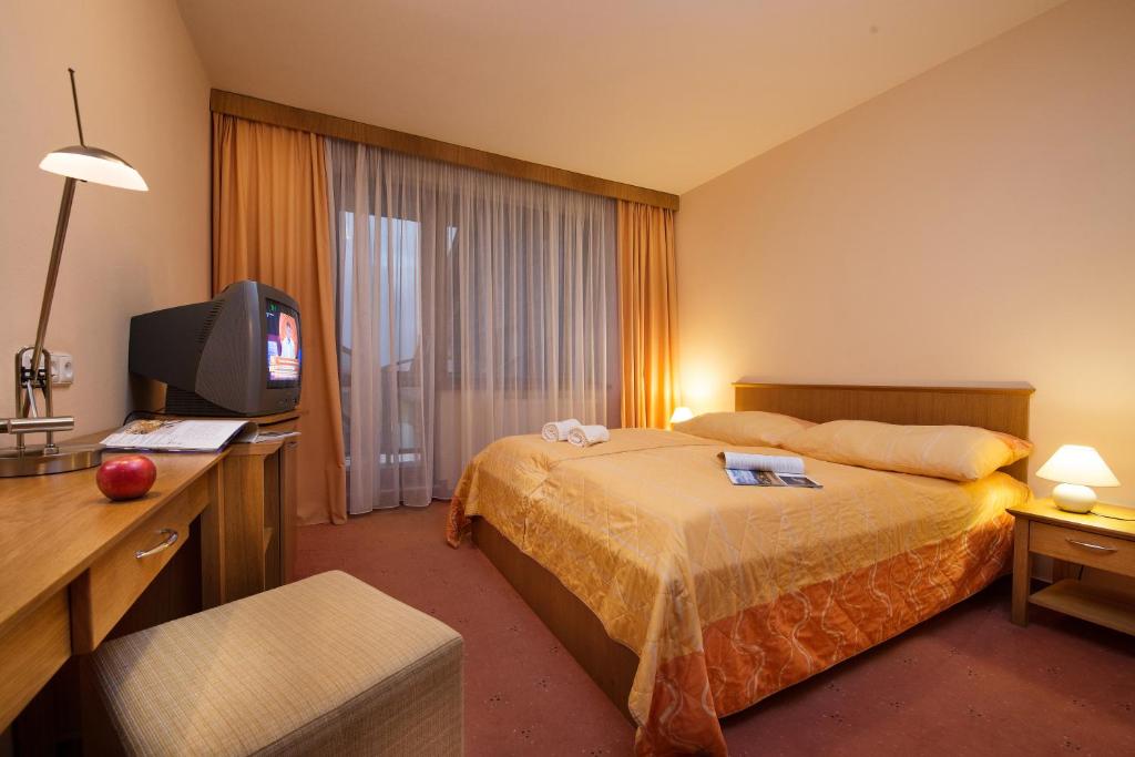 Двухместный (Стандартный двухместный номер с 1 кроватью) отеля Hotel Forton, Татранска-Ломница