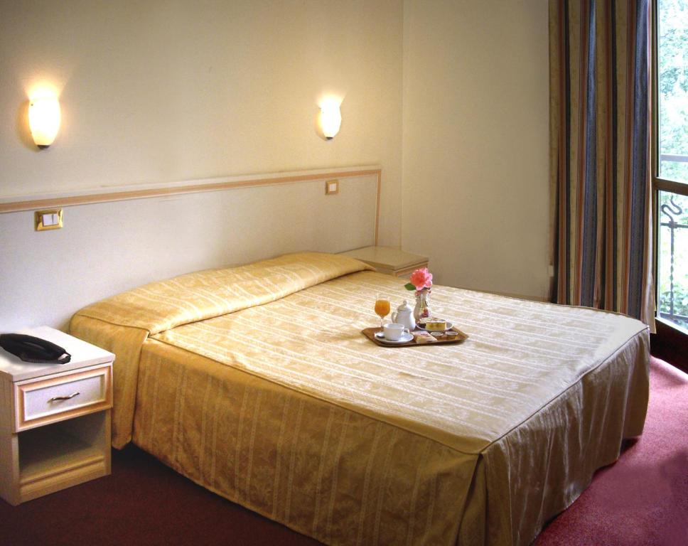 Двухместный (Двухместный номер с 1 кроватью) отеля Hotel Adler, Милан