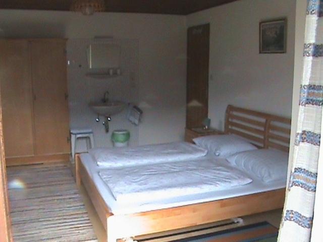 Двухместный (Двухместный номер с 1 кроватью и общей ванной комнатой) гостевого дома Privatzimmer Anneliese, Гозау