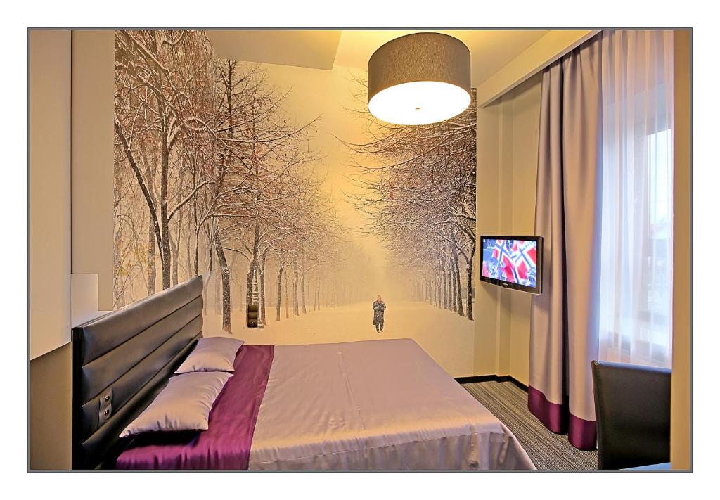 Двухместный (Двухместный номер Делюкс с 1 кроватью) отеля Villa Park, Седльце