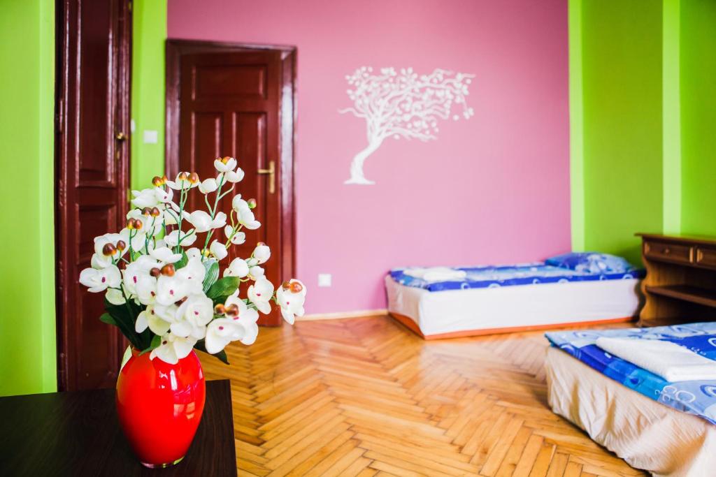 Студио (Номер-студио), Hostel Tara