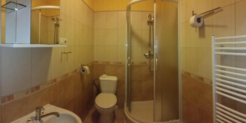 Двухместный (Двухместный номер с 1 кроватью) гостевого дома Salas-Partizanske, Пьештяни