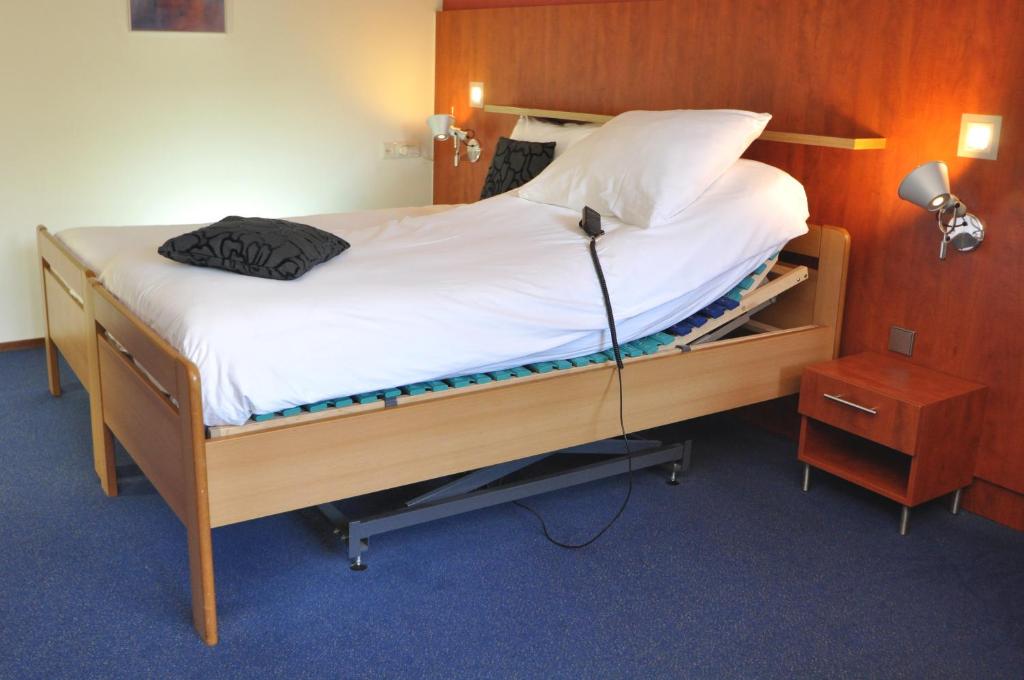 Двухместный (Двухместный номер с 1 кроватью - Подходит для гостей с ограниченными физическими возможностями) отеля Hotel Restaurant de Meulenhoek, Гронинген