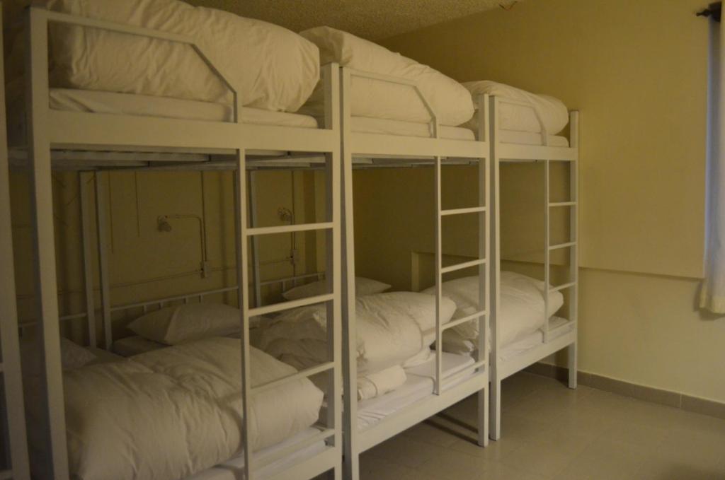 Номер (Спальное место на двухъярусной кровати в общем номере для мужчин и женщин) отеля iDorm B&B, Далат
