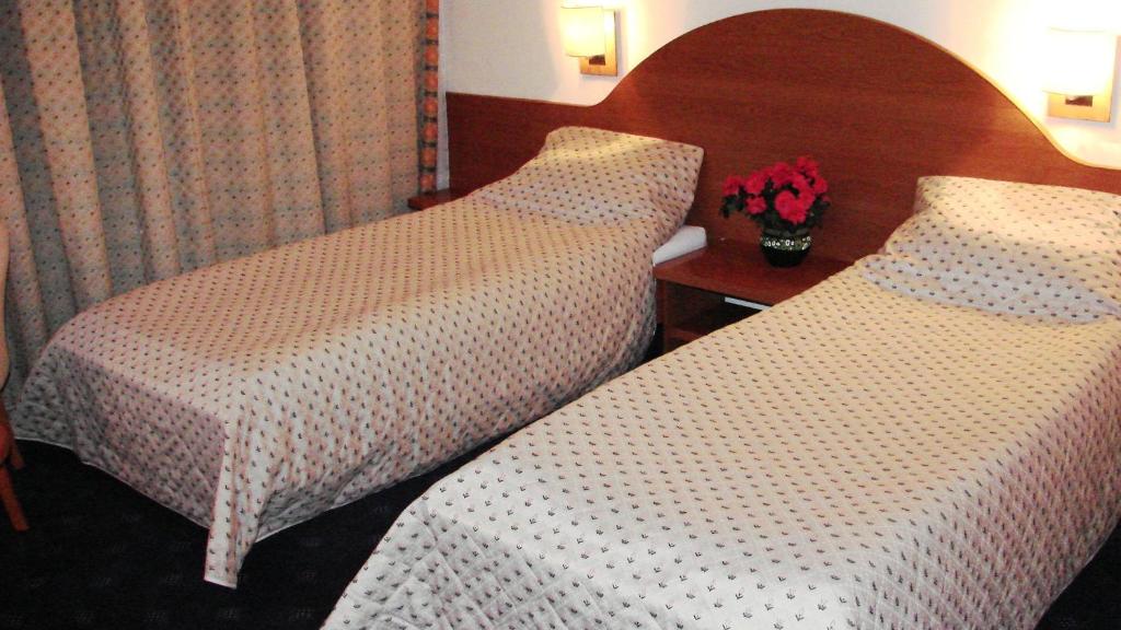 Двухместный (Двухместный номер с 2 отдельными кроватями) отеля Hotel Irisa, Бухарест