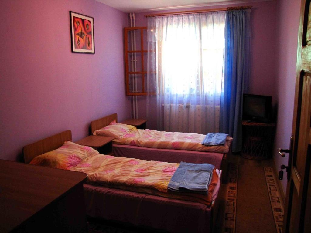 Двухместный (Двухместный номер с 1 кроватью и общей ванной комнатой) гостевого дома Casa Oana, Сулина