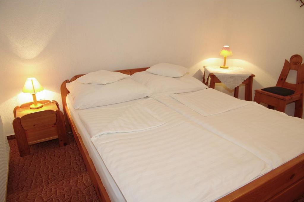 Двухместный (Двухместный номер с 1 кроватью или 2 отдельными кроватями) отеля Fodor Hotel, Дьюла