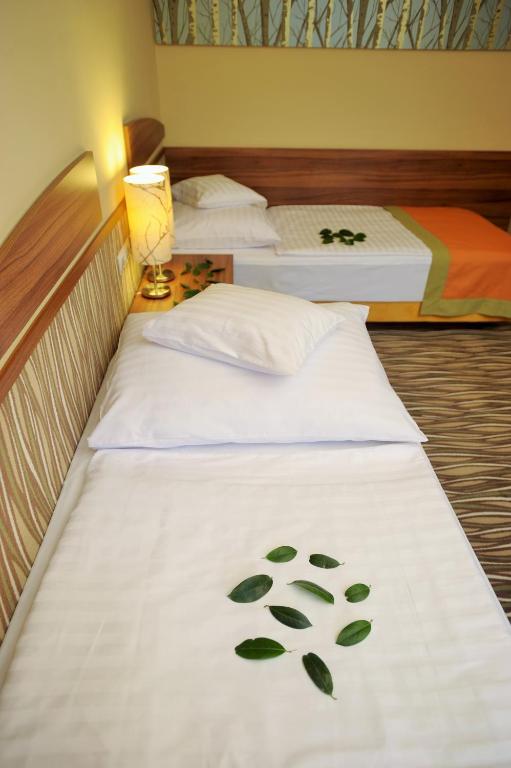 Двухместный (Стандартный двухместный номер с 2 отдельными кроватями) отеля Park Hotel Gyula, Дьюла