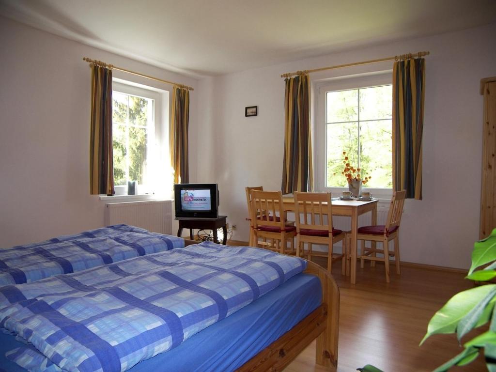 Двухместный (Двухместный номер с 1 кроватью) гостевого дома Penzion Polarka, Марианские Лазне
