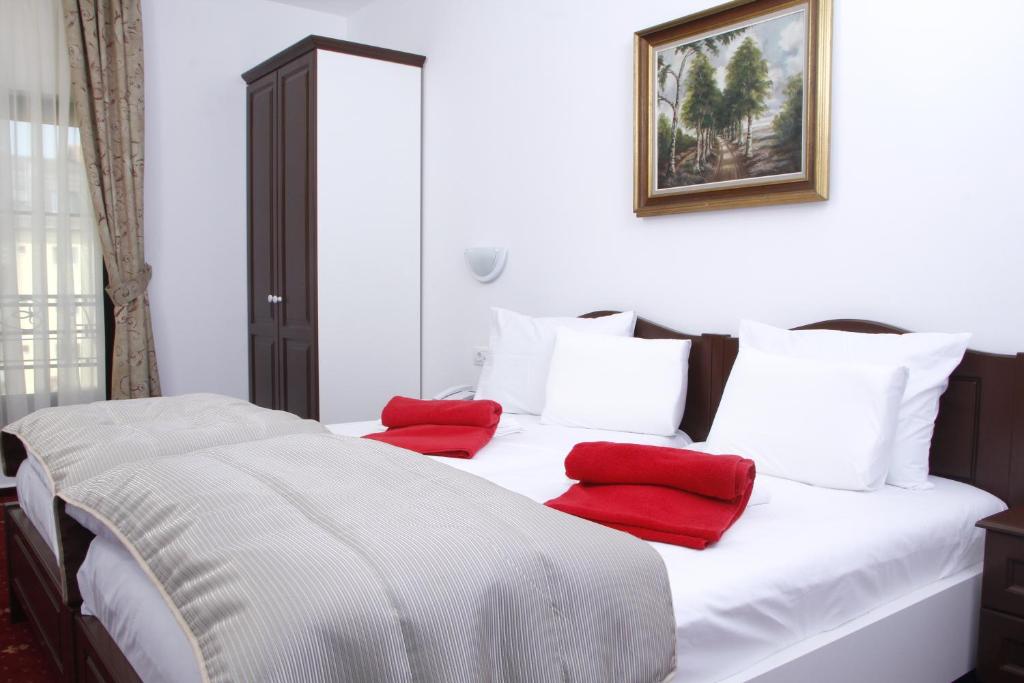 Двухместный (Двухместный номер с 2 отдельными кроватями) отеля Hotel Exclusiv, Тимишоара