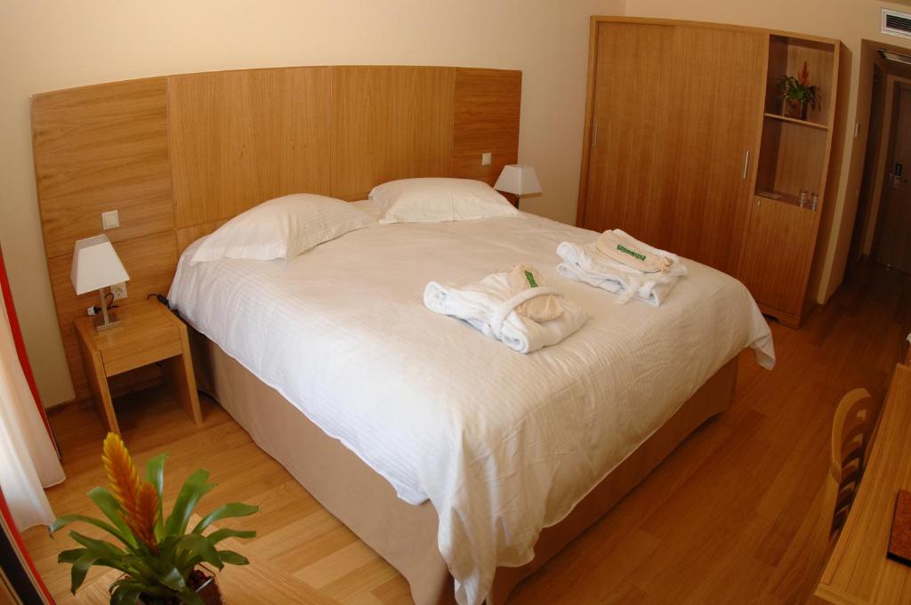Двухместный (Двухместный номер с 1 кроватью или 2 отдельными кроватями, вид на горы) отеля Valis Resort Hotel, Волос