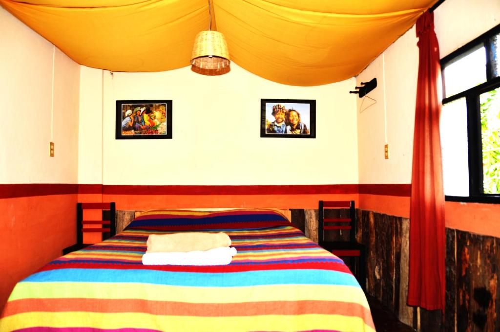 Двухместный (Стандартный двухместный номер с 1 кроватью и общей ванной комнатой) гостевого дома Hostal El Rincón de los Camellos, Сан-Кристобаль-де-лас-Касас