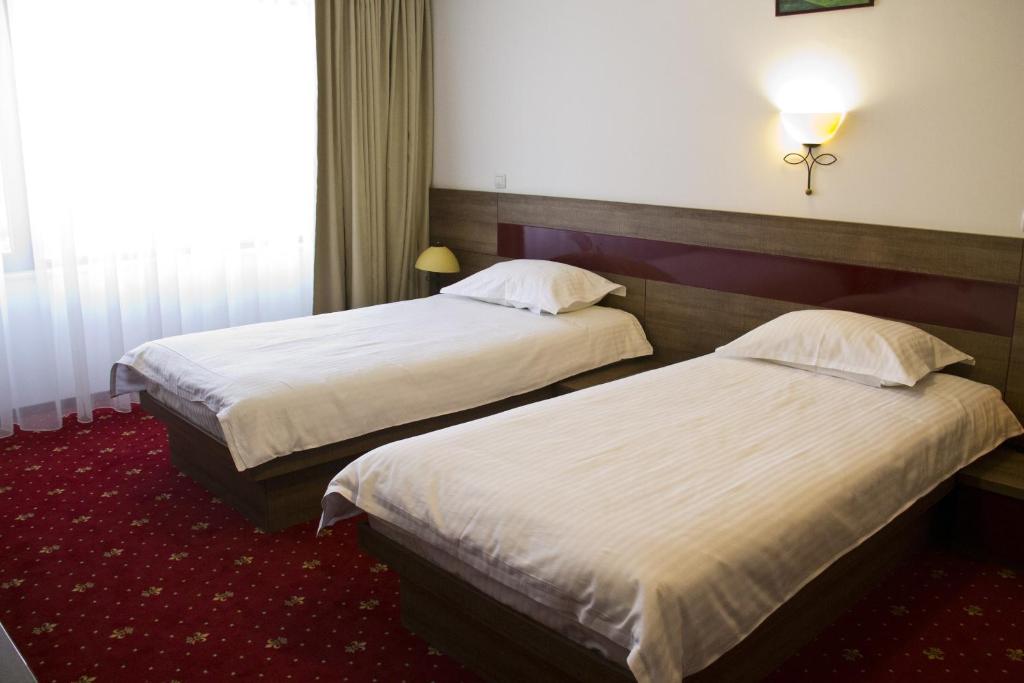 Двухместный (Двухместный номер с 1 кроватью или 2 отдельными кроватями) отеля Hotel City Ploiesti, Плоешти