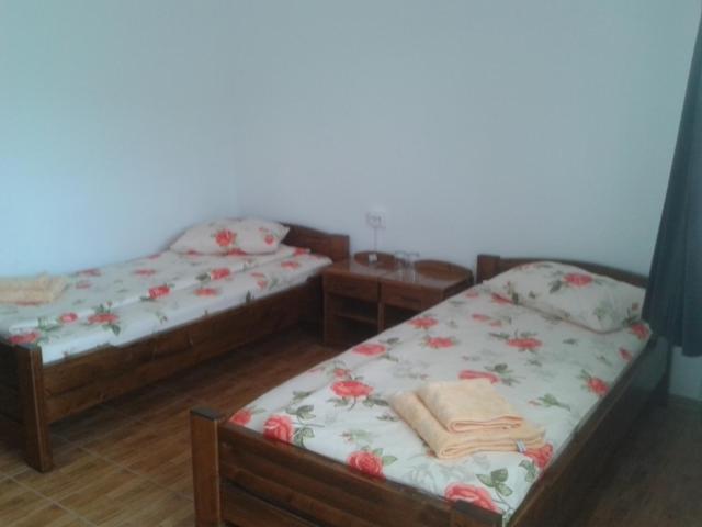 Двухместный (Двухместный номер с 2 отдельными кроватями) загородного отеля La Raducu, Сулина