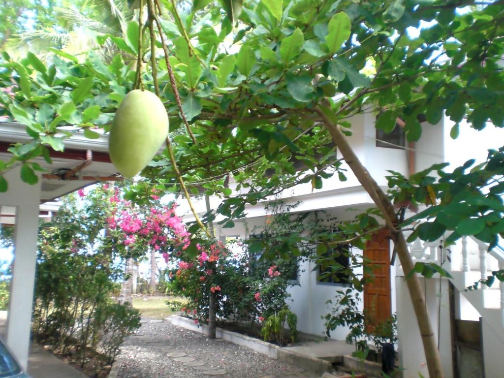 Villa Juana with garden