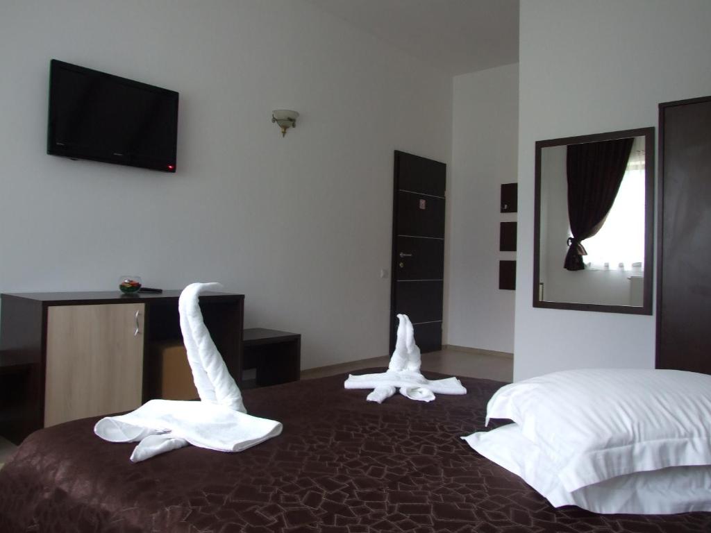 Двухместный (Двухместный номер эконом-класса с 1 кроватью или 2 отдельными кроватями) отеля Hotel Brancoveanu, Моечу-де-Жос