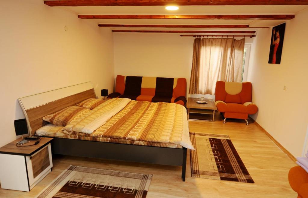 Двухместный (Двухместный номер с 1 кроватью) гостевого дома Pensiunea Nico, Хацег