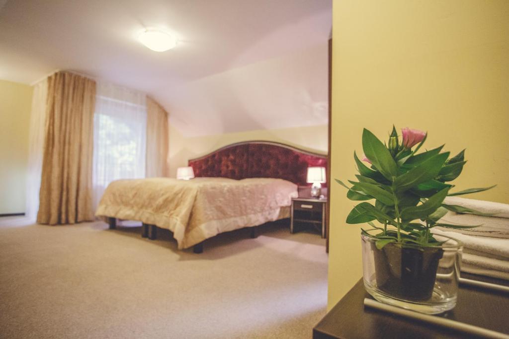 Двухместный (Двухместный номер с 1 кроватью или 2 отдельными кроватями) гостевого дома Penzión Kolibrík, Бардеевске-Купеле