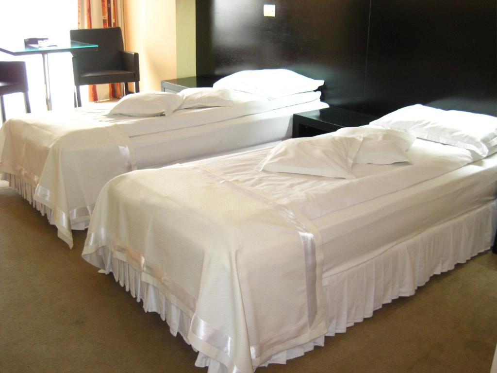 Двухместный (Двухместный номер с 2 отдельными кроватями) отеля Hotel Delpack, Тимишоара
