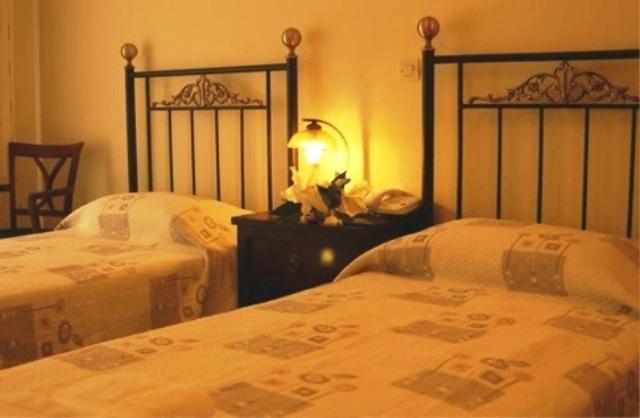 Двухместный (Двухместный номер с 1 кроватью или 2 отдельными кроватями) отеля Aegeon Hotel, Карловаси
