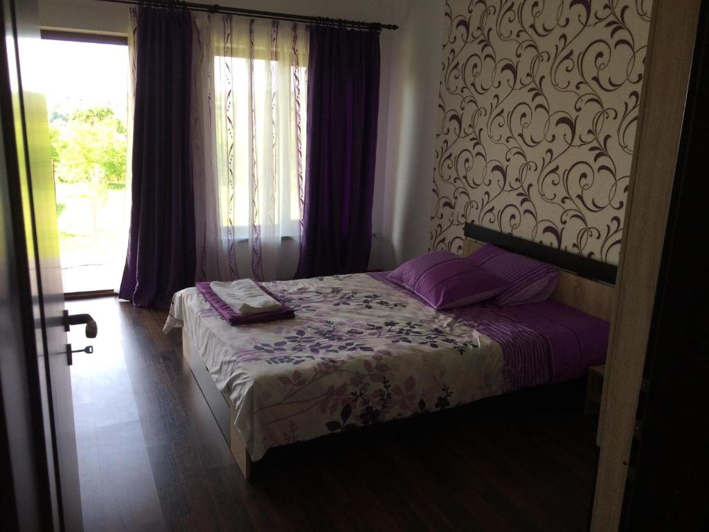 Двухместный (Двухместный номер с 1 кроватью и собственной ванной комнатой) гостевого дома Casa de vacanta Madalina, Хорезу