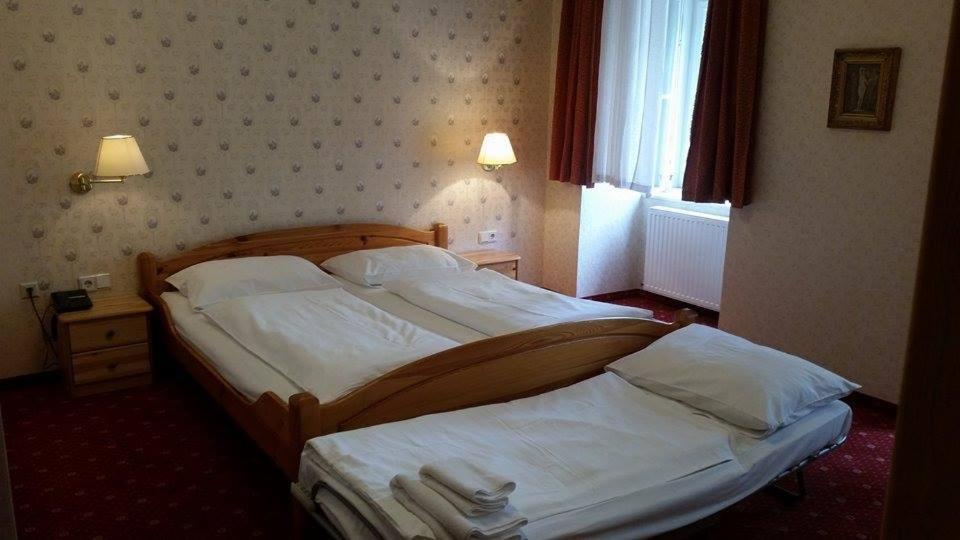 Двухместный (Двухместный номер с двуспальной кроватью и дополнительной кроватью) отеля Pension Walzerstadt, Вена
