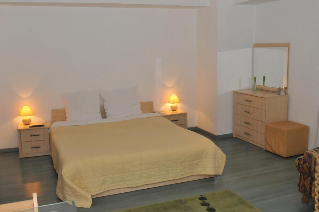 Двухместный (Стандартный двухместный номер с 1 кроватью или 2 отдельными кроватями) гостевого дома Pensiunea Studio, Бакэу