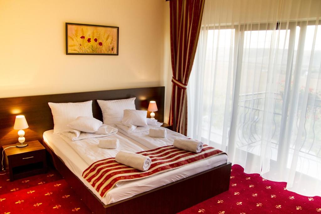 Двухместный (Двухместный номер с 1 кроватью) отеля Hotel Axa Travel, Алба-Юлия