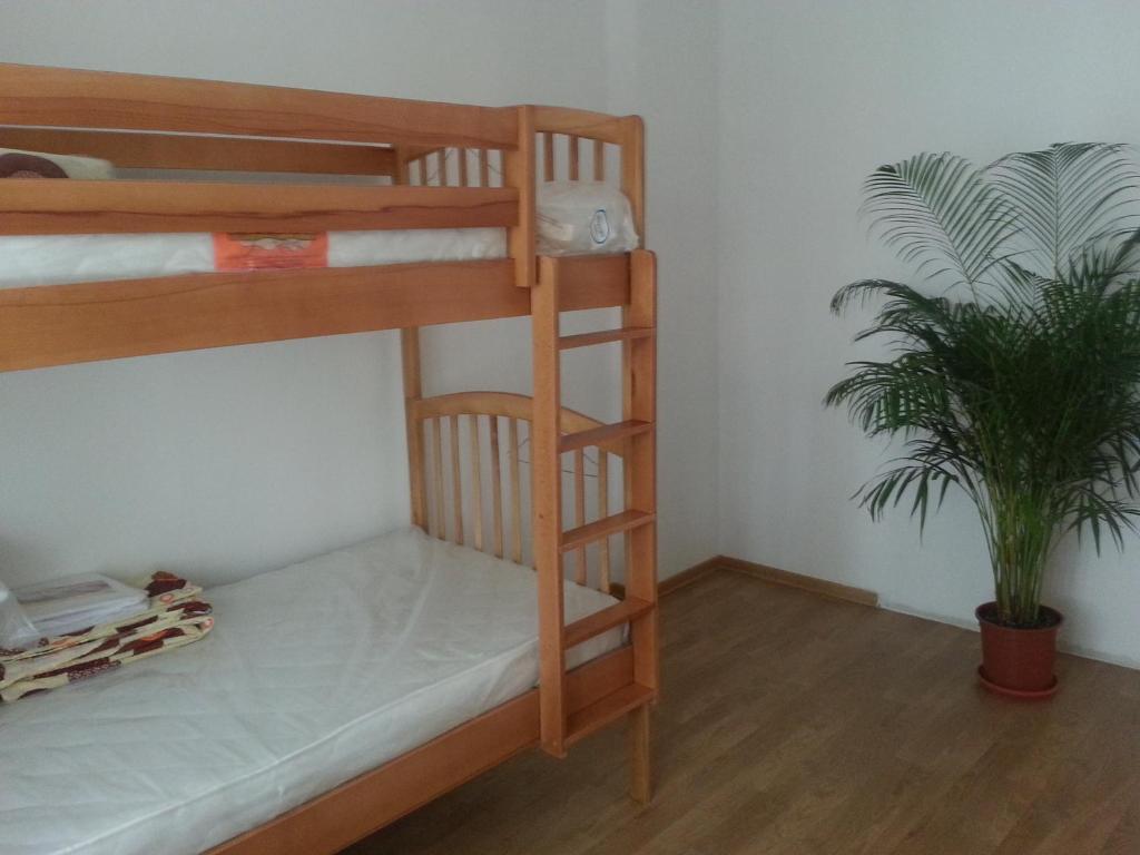 Номер (Кровать в общем 4-местном номере для мужчин и женщин), Hostel Andrei