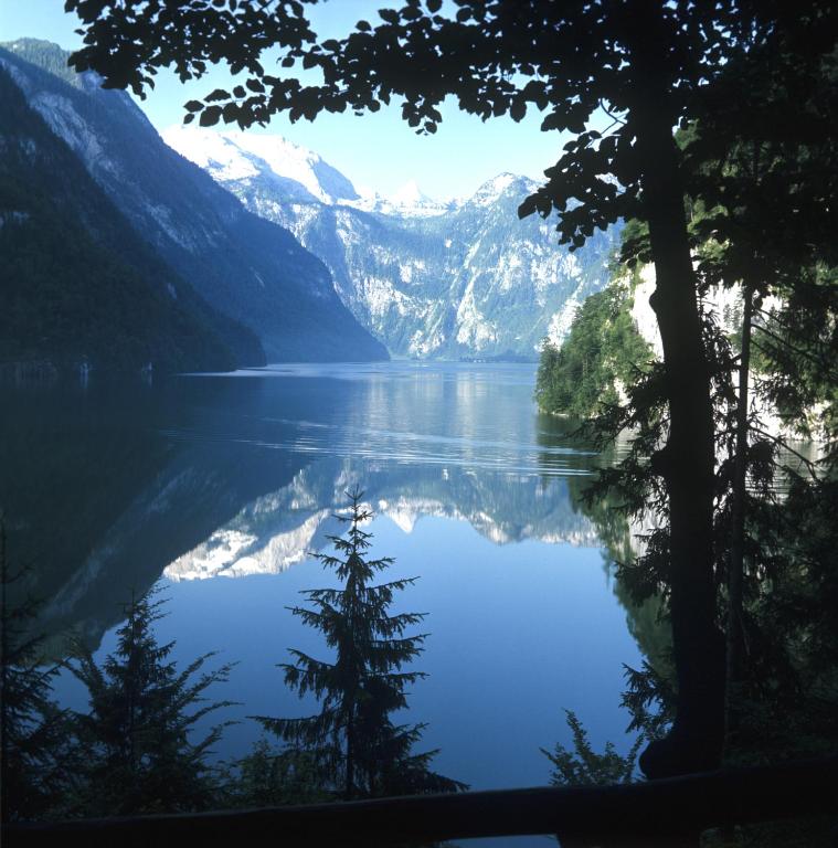 Номер (Дом с 1 спальней), Chalet Ramsau