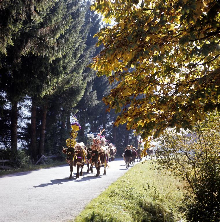 Номер (Дом с 1 спальней), Chalet Ramsau