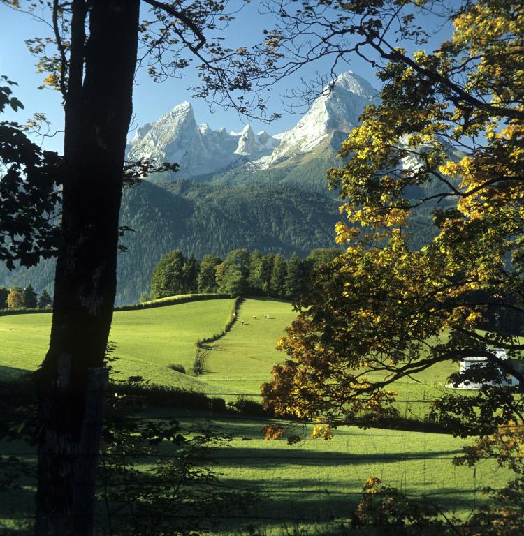 Номер (Дом с 1 спальней), Chalet Ramsau