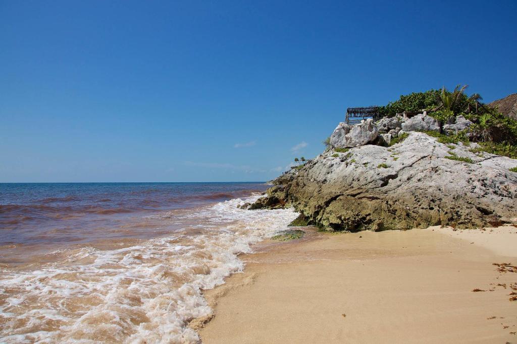 Двухместный (Номер с кроватью размера «king-size»), Punta Piedra Beach Posada