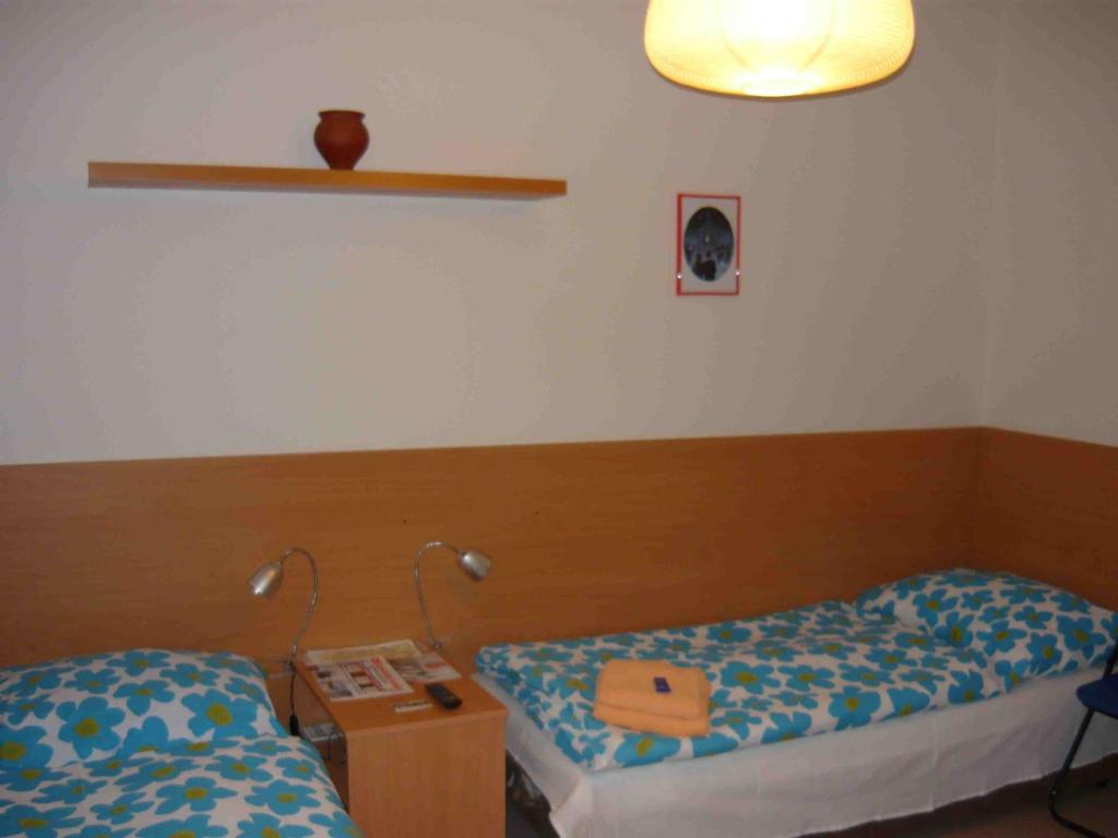 Студио (Номер-студио В1), Apartments - Penzion Lena