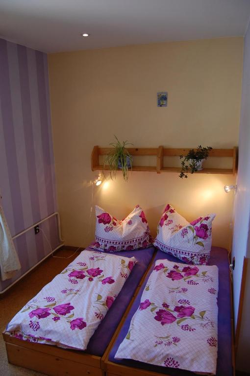 Двухместный (Двухместный номер с 1 кроватью или 2 отдельными кроватями) гостевого дома Eliska, Горни-Плана