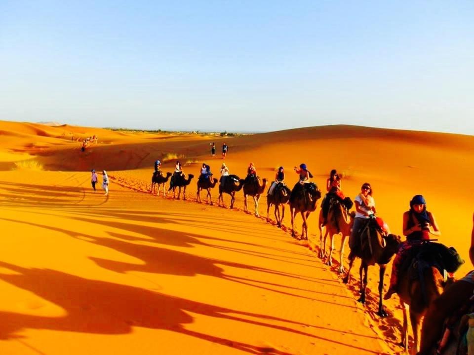 Moda Camp Merzouga - Quad Camel ATV