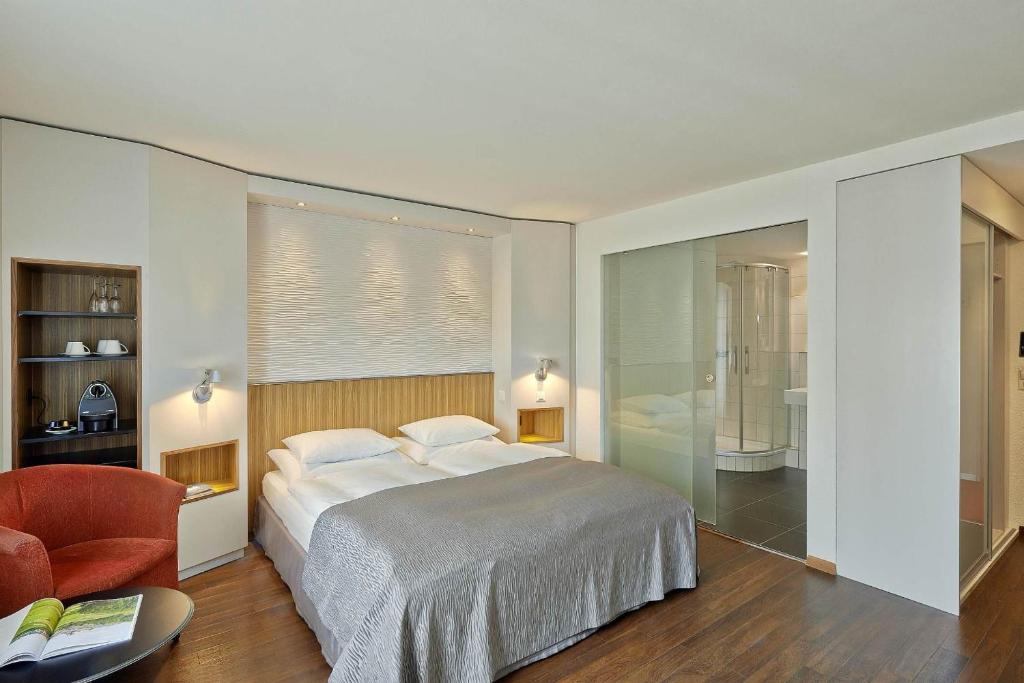 Двухместный (Стандартный номер с кроватью размера «king-size») отеля Sorell Hotel Rütli, Цюрих
