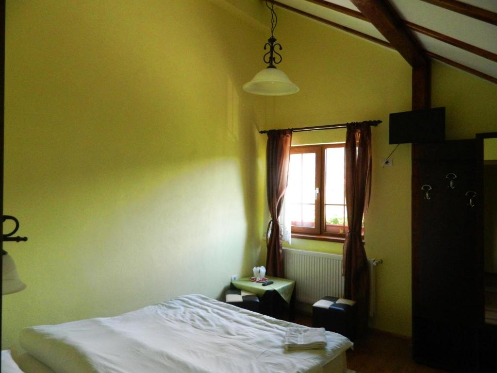 Двухместный (Стандартный двухместный номер с 1 кроватью) гостевого дома Hanul cu Noroc with terrace, Моечу-де-Жос