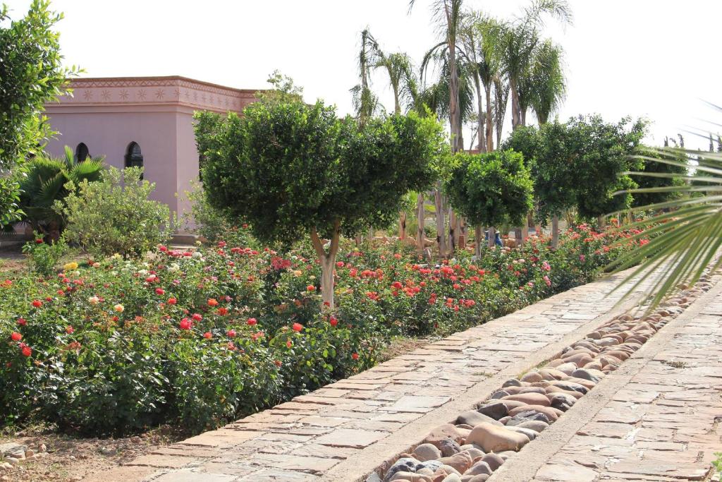 Сьюит (Люкс Pavillon - с собственным плавательным басейном), Terra Mia Marrakech