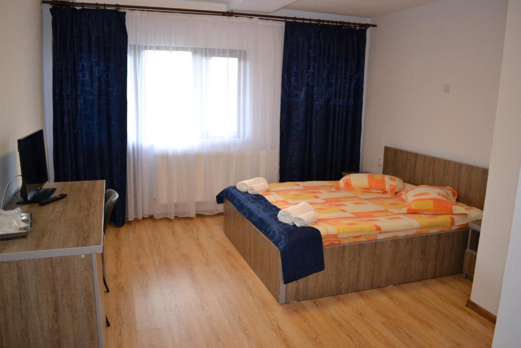 Двухместный (Двухместный номер с 1 кроватью и собственной ванной комнатой) гостевого дома Pensiunea Meridian, Рымнику-Вылча