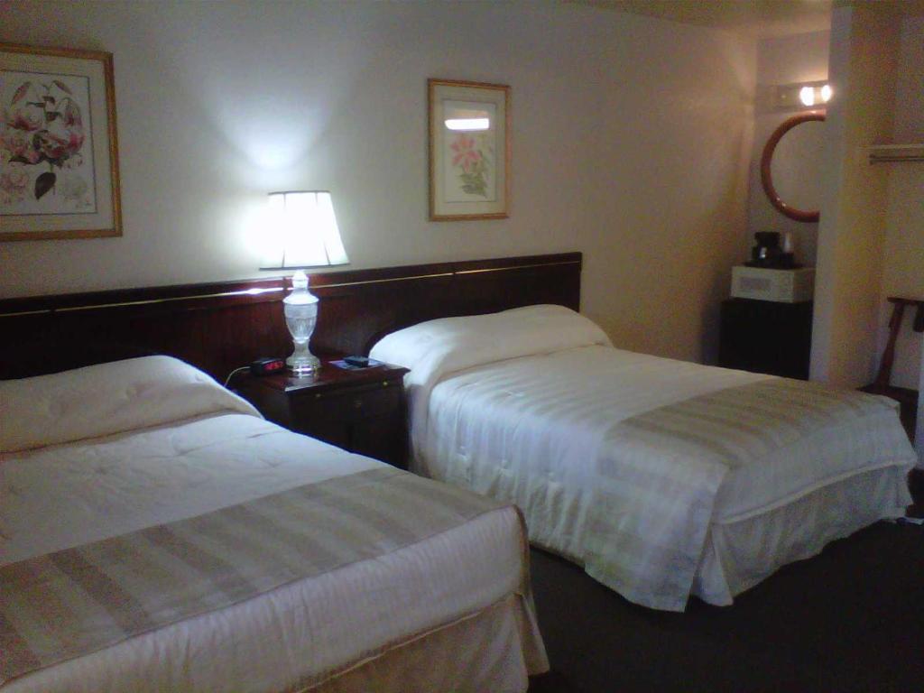 Семейный (Двухместный номер с 2 двуспальными кроватями) мотеля Caravelle Inn & Suites, Сан-Хосе