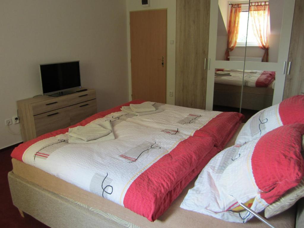 Двухместный (Двухместный номер Делюкс с 1 кроватью) гостевого дома Guest House Krpole, Брно