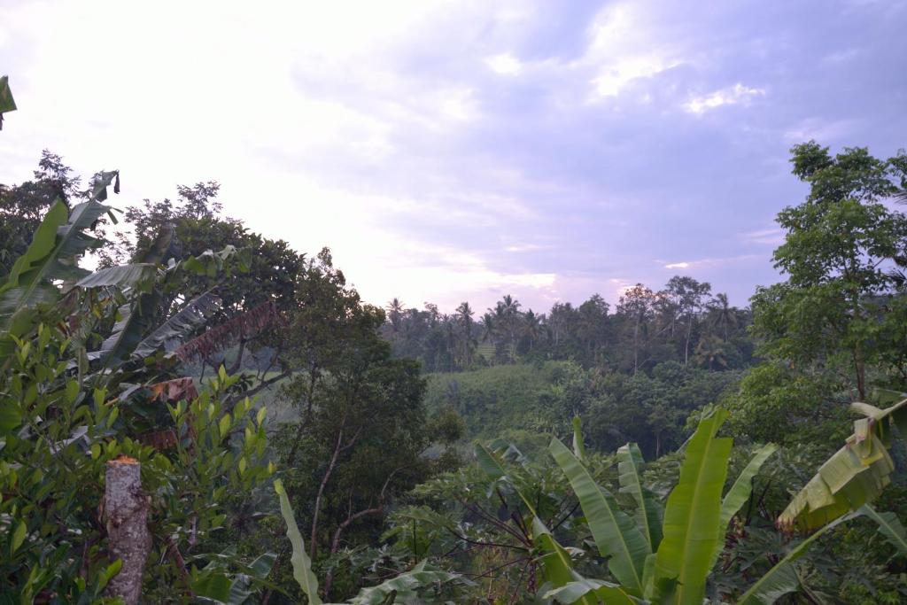 Двухместный (Двухместный номер Делюкс с 1 кроватью и балконом), Pondok Bali