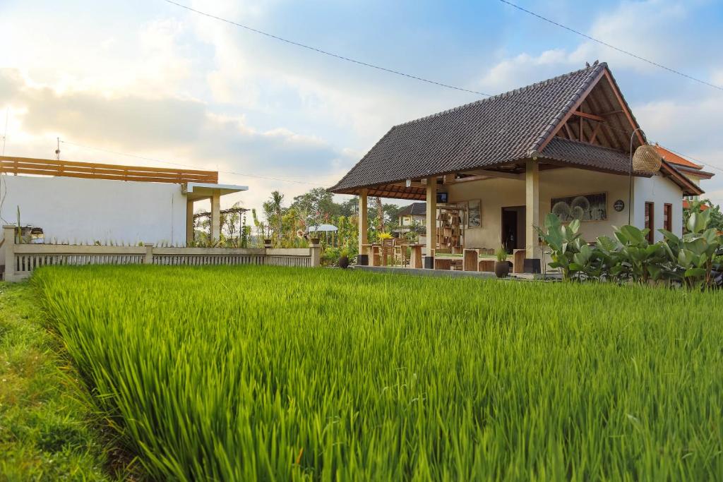 Двухместный (Двухместный номер с 1 кроватью и видом на бассейн), The Moksha Ubud